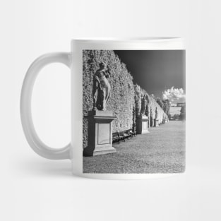 Great Parterre, Gardens of Schönbrunn, Vienna Mug